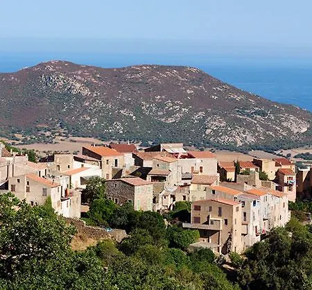 Veronique L'Ile-Rousse (Corsica)